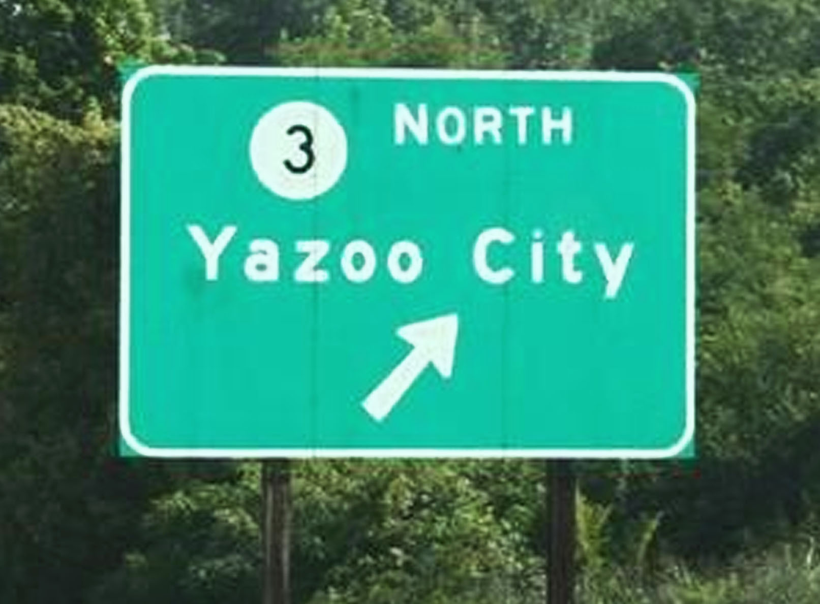 The Man from Yazoo City Patrick Hartory